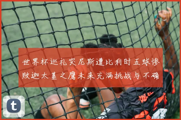 世界杯巡礼突尼斯遭比利时五球惨败迦太基之鹰未来充满挑战与不确定性