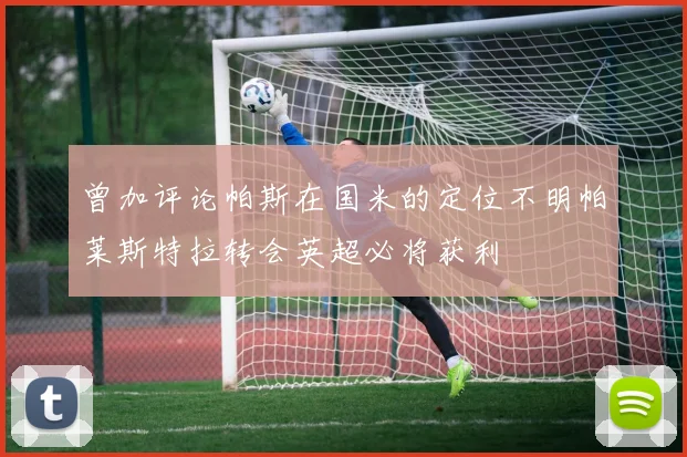 曾加评论帕斯在国米的定位不明帕莱斯特拉转会英超必将获利