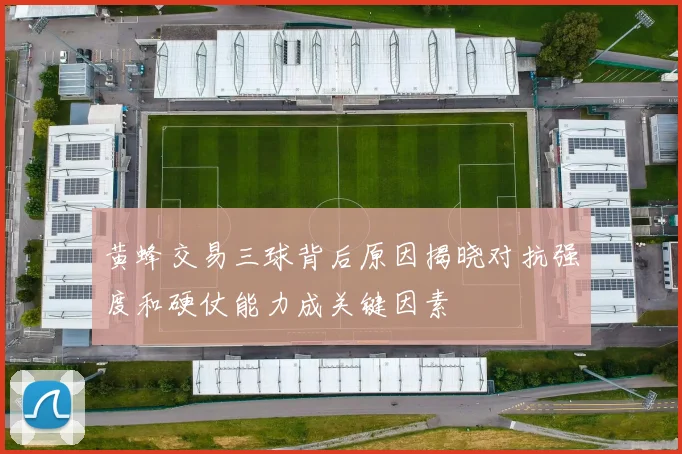 黄蜂交易三球背后原因揭晓对抗强度和硬仗能力成关键因素